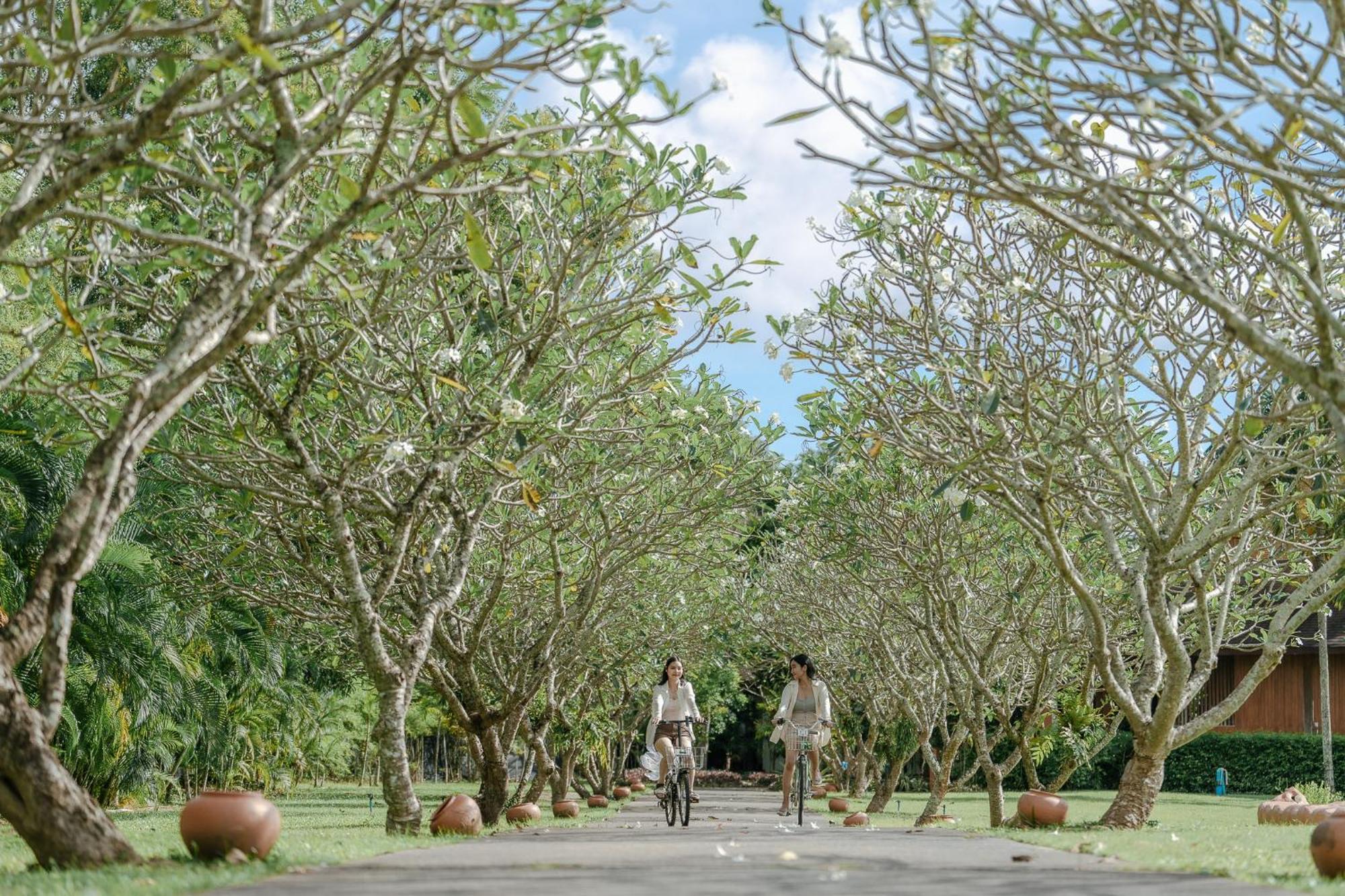 Splash Beach Resort, Maikhao Phuket - Sha Extra Plus Mai Khao Exteriér fotografie The Royal Project Research Centre